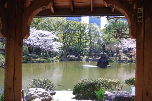 屋根の下で椅子に座り鶴の噴水を眺める。池には鯉と、よく見ると亀が！