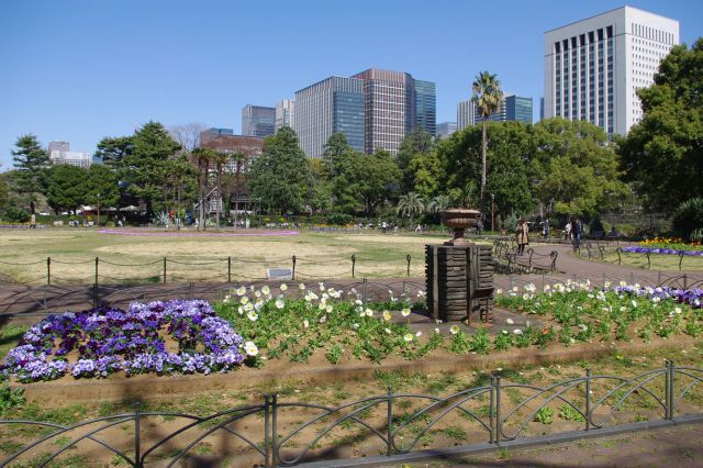 第一花壇には色彩豊かな花が並んでいます。