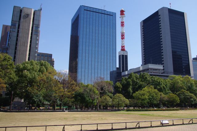 広々とした公園から高層ビル群を眺める。天気が良くて本当に気持ち良い。