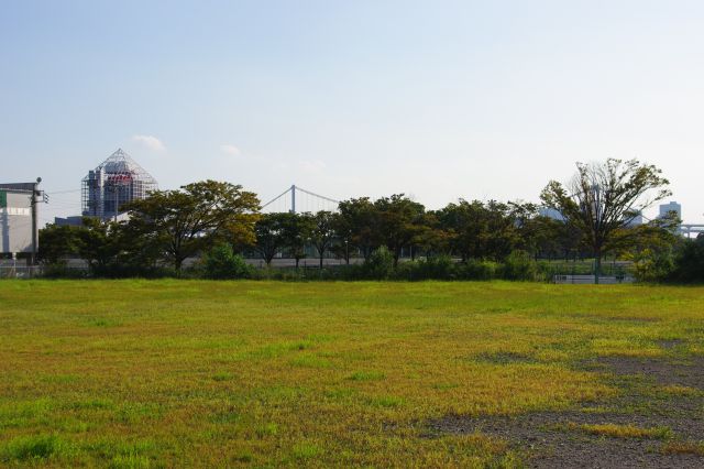 ここから先はまだ空き地が広がる。