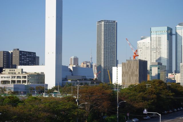 晴海のビル群の先には東京スカイツリーも顔を出します。