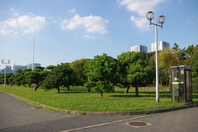 ターミナルの横には緑あふれる晴海ふ頭公園。