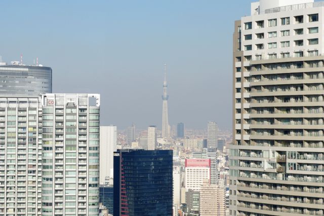 遠くに東京スカイツリーも見えます。