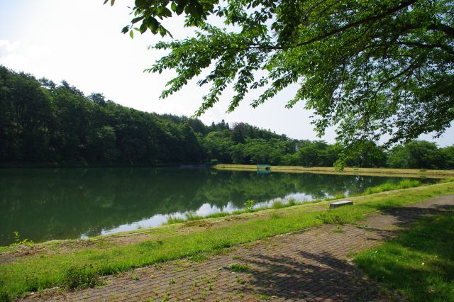 土手の上には「八方池」。