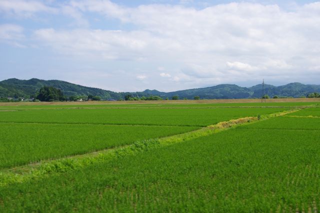 緑一色の豊かな田園地帯。