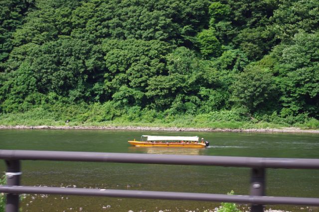 心地良さそうな舟。写真では分かりませんが、鮎が水しぶきをあげゆっくり遡上していました！