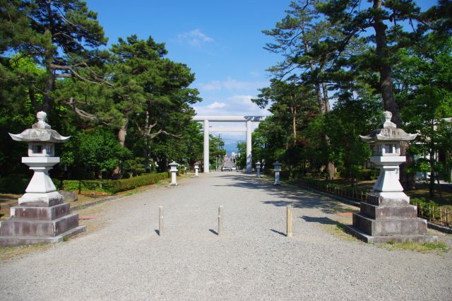 鶴岡公園（鶴ヶ岡城址）の写真ページへ