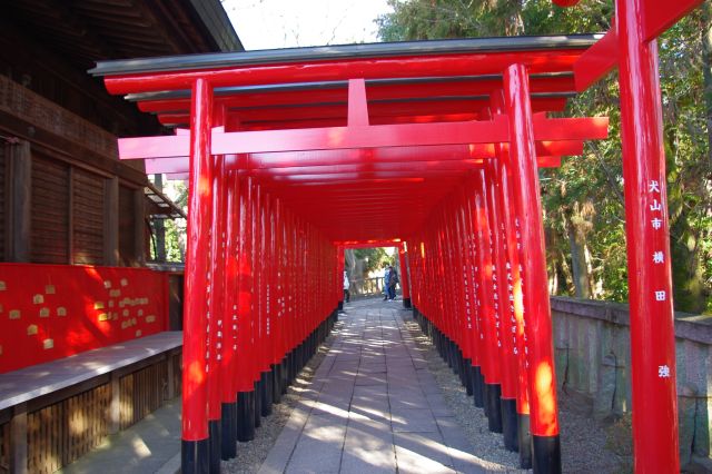 稲荷神社らしく鳥居が沢山並びます。別世界への入り口のよう。