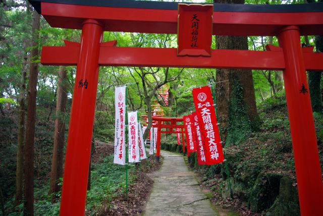 鳥居が沢山並ぶ道を進みます。京都の伏見稲荷大社のコンパクト版。