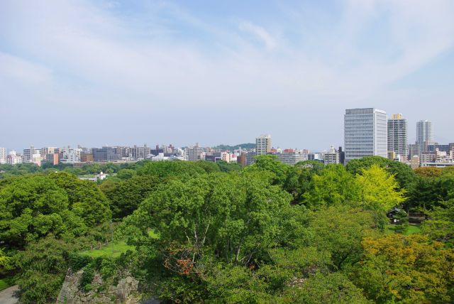 街の先に緑の西公園の丘。