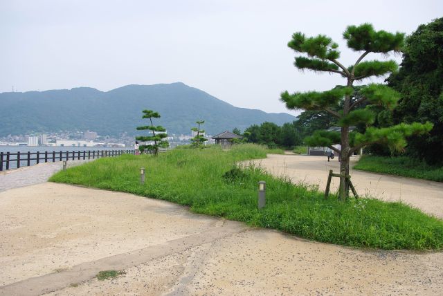 海岸沿いに遊歩道が続きます。木々からはセミの鳴き声が響く。