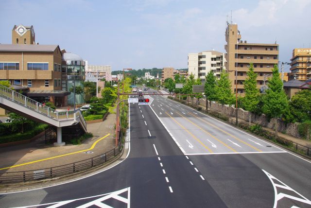 ホークスタウンモールへの歩道橋より。周囲は住宅街。