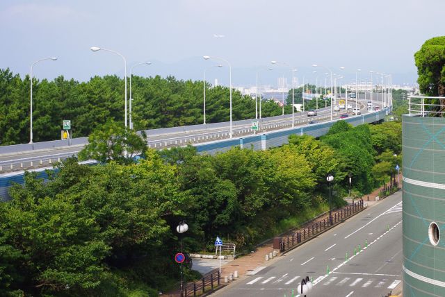 緑あふれるきれいに整備された心地よい海岸通です。