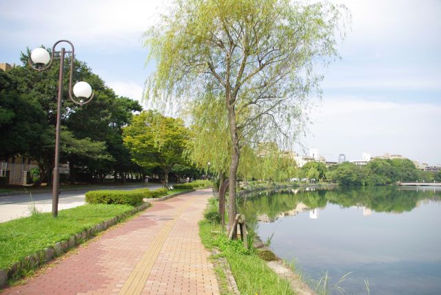 心地よい池の周囲の歩道を歩きます。