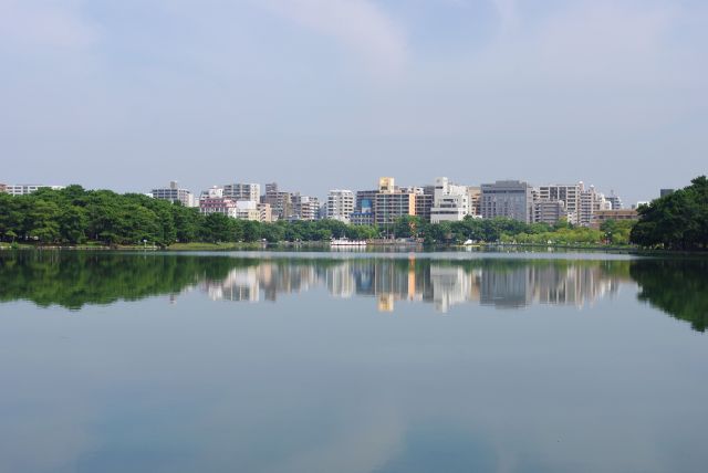 都市の中のオアシスのような大きな公園でした。