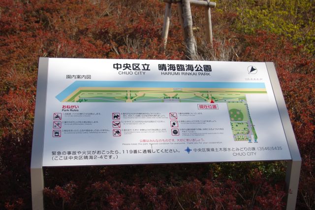 運河沿いに細長い晴海臨海公園。