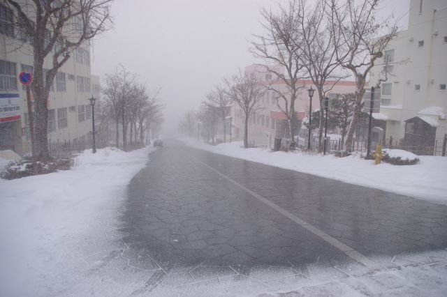 TVでも良くみかける最も眺めが良い八幡坂。…吹雪のためこの有様(^^;)