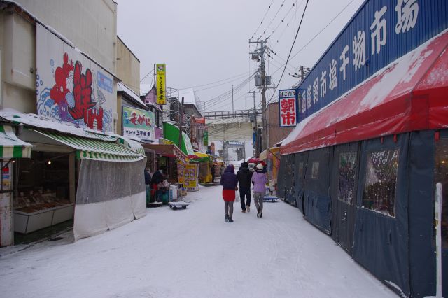 函館朝市の写真ページ