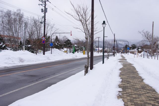 函館から北上し大沼へ。雪はさらさらです。