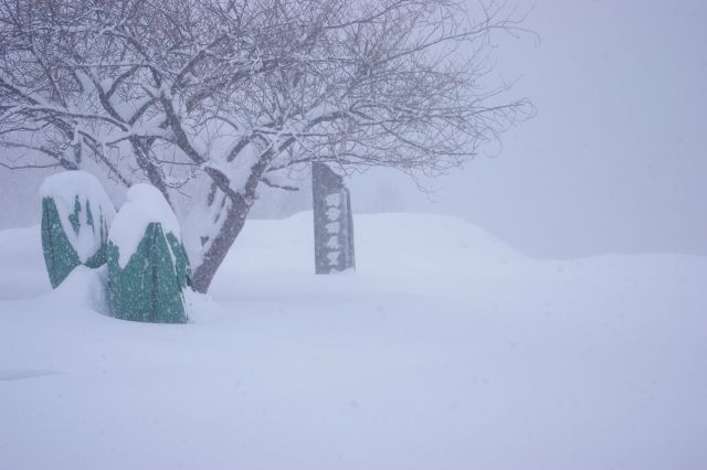 一面真っ白、深い雪に覆われる冬の洞爺湖。ある意味北海道らしさを体感中。