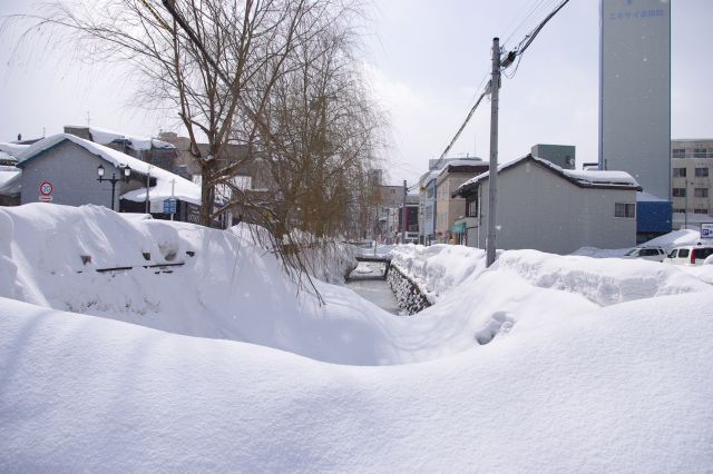 堺橋の上、雪がたっぷり積もっています。