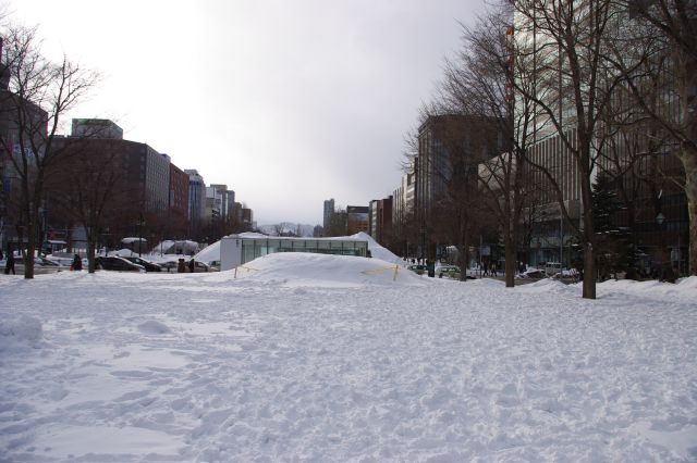 大通り公園の西側。両側には大きな建物が続きます。