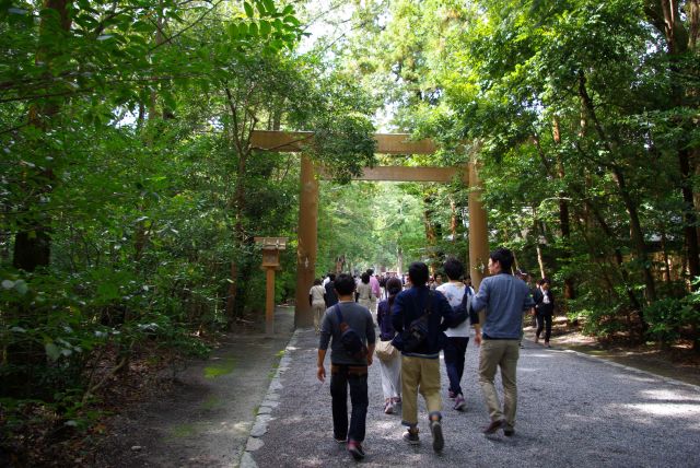 人並みに加わり緑の心地よい参道を進んで行きます。