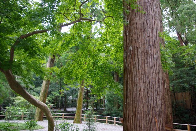 正宮の正面の美しい自然の風景。