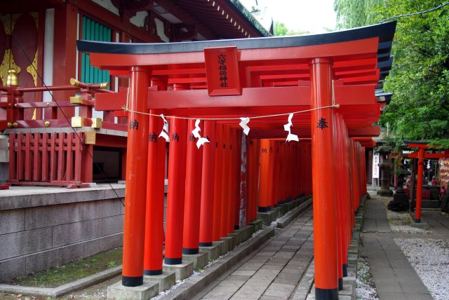 美しい鳥居の列。