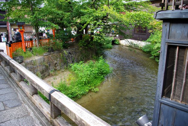 白川に架かる巽橋へ。水は涼しい。