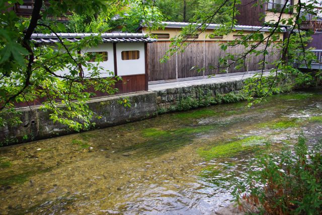 和風な塀と清らかな白川、本当に美しい。