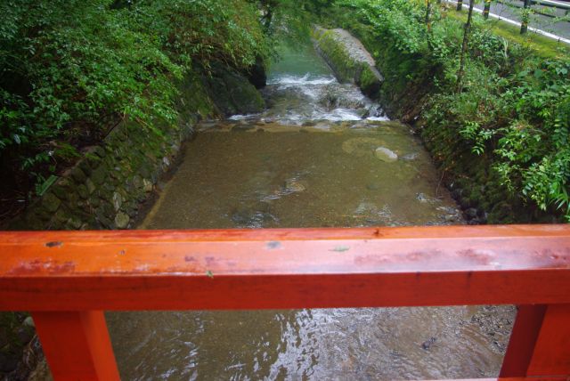 澄んだ空気、涼しい自然の中の貴船川。