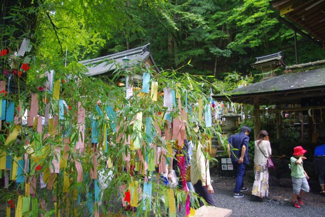 貴船神社の境内へ。笹飾りが印象的。