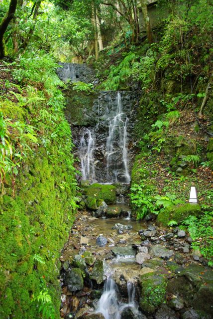 境内の小滝。