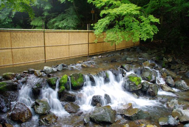 勢いのある水の音がします。