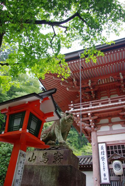 緑の紅葉が美しい。