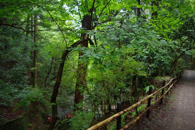 緑豊かな砂利道の山道を進む。雨が強くなってきた。