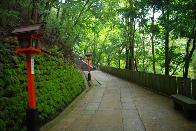 ここで砂利道が終わり石畳道。苔と石柵と森の戻りと、何とも美しい組み合わせ。