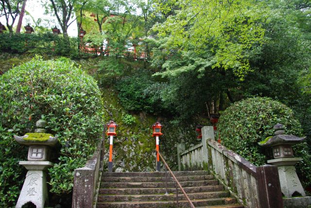 森を抜けもうすぐ鞍馬寺に着きそうな雰囲気。