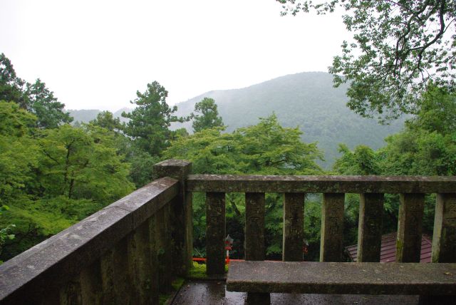 ここで初めて遠くが開けた風景。しかし雨のため視界が悪い。