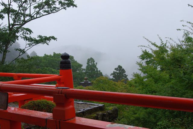 雨のため景色は見えないが雲の上のような光景。