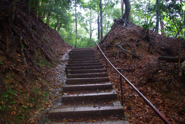 両脇に木の根が張る階段を登ります。