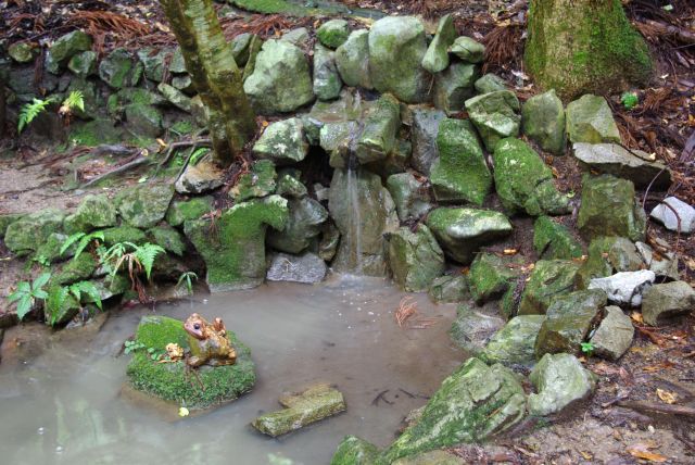 水の湧き出る池。