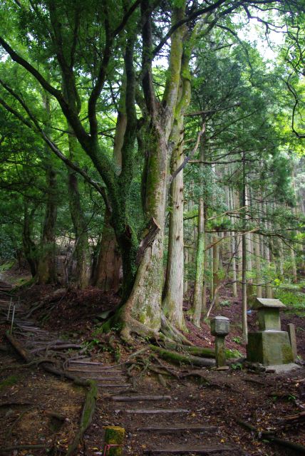 険しい山道もそろそろ終盤。