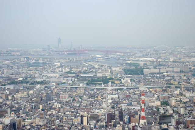 赤い港大橋、海響館、天保山、咲洲庁舎。天気良ければ淡路島も。