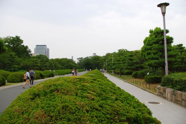 お城への道。右手に梅林