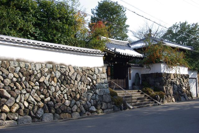 塔頭の町並みも雪や植物や陽も夏とは違う表情。