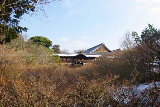 臥雲橋より、一面緑だった夏とは違った風景。