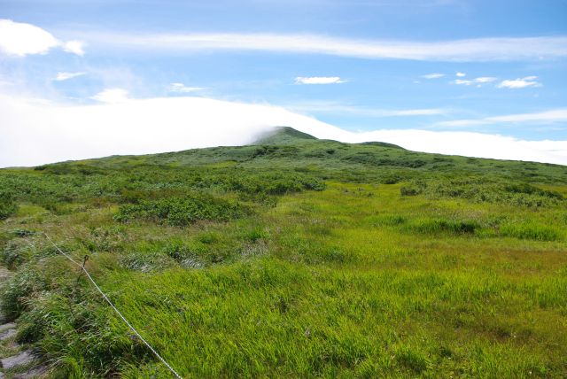 広い湿原を上る。山上は雲に覆われる。