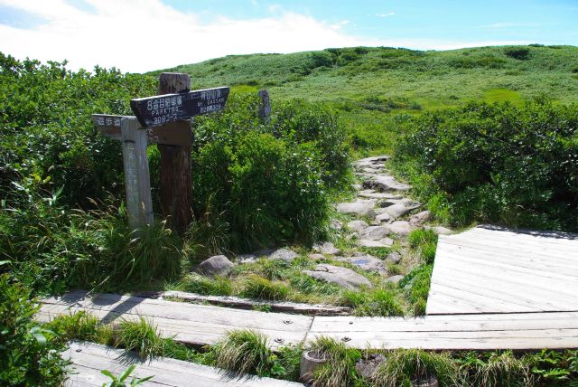 十字路へ。さらに山頂に向かいます。